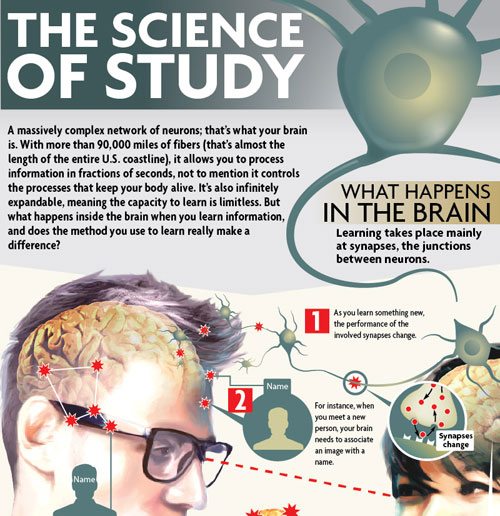 science_study-thumb